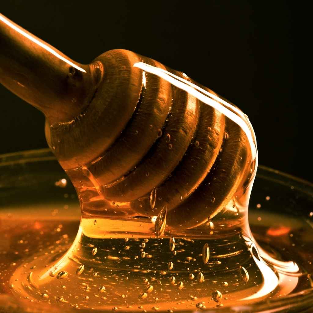 vegan-honey