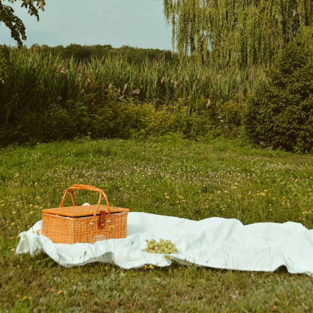 vegan-picnic