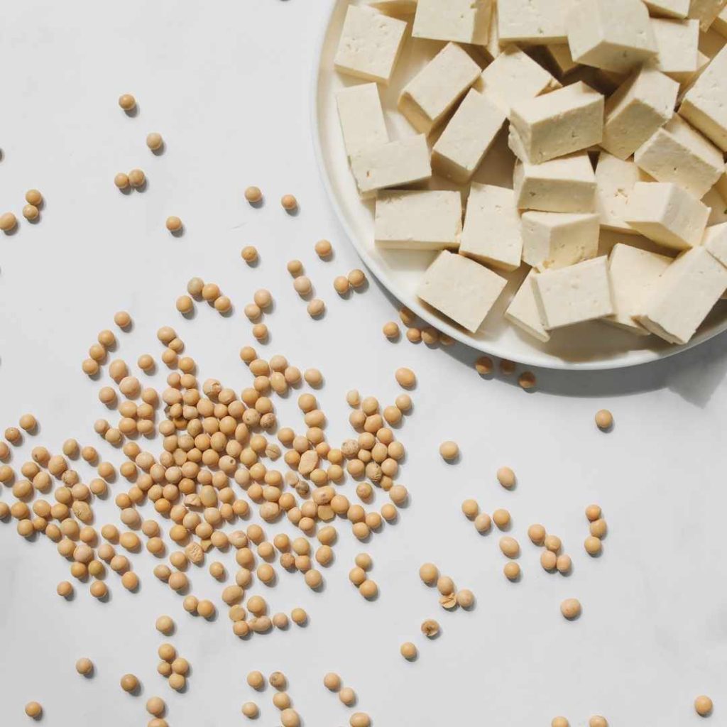 vegan-low-calorie-meals
