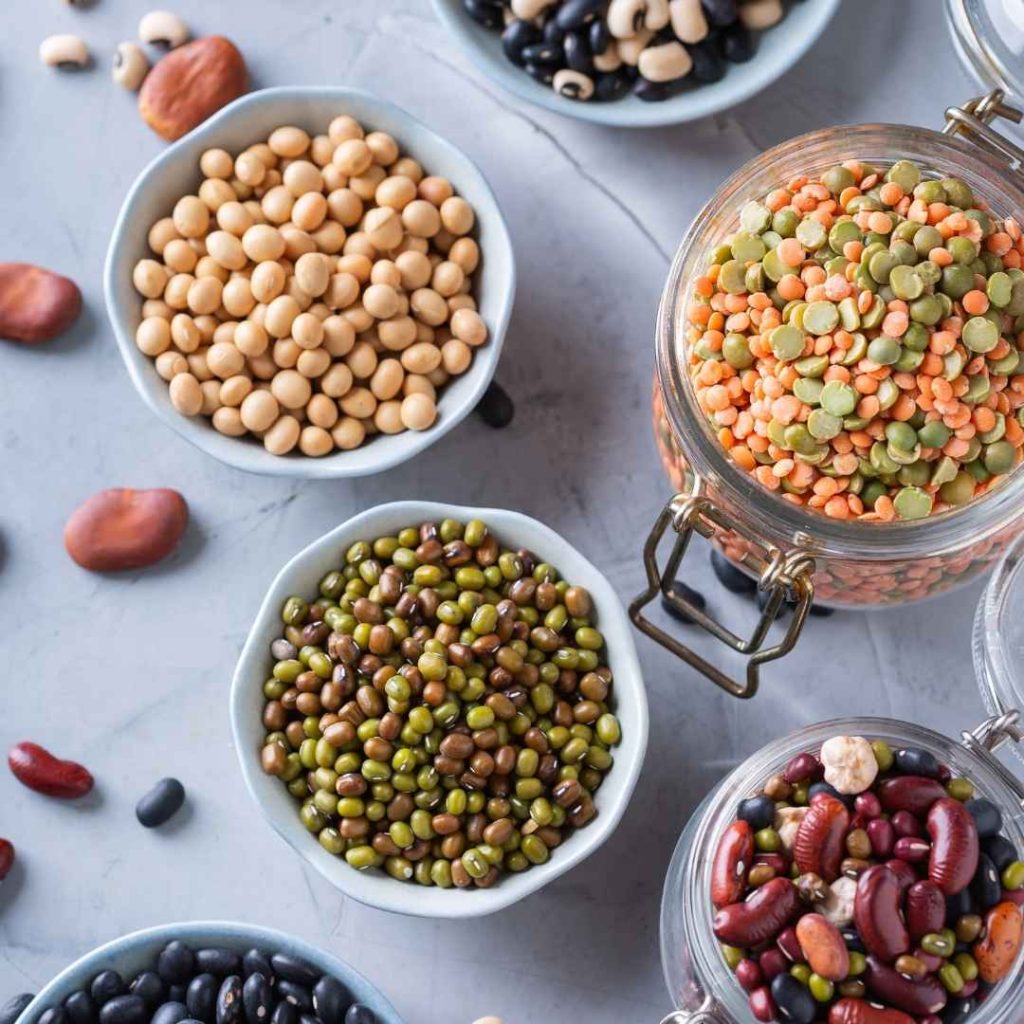 wfpb-nutrition-vegan
