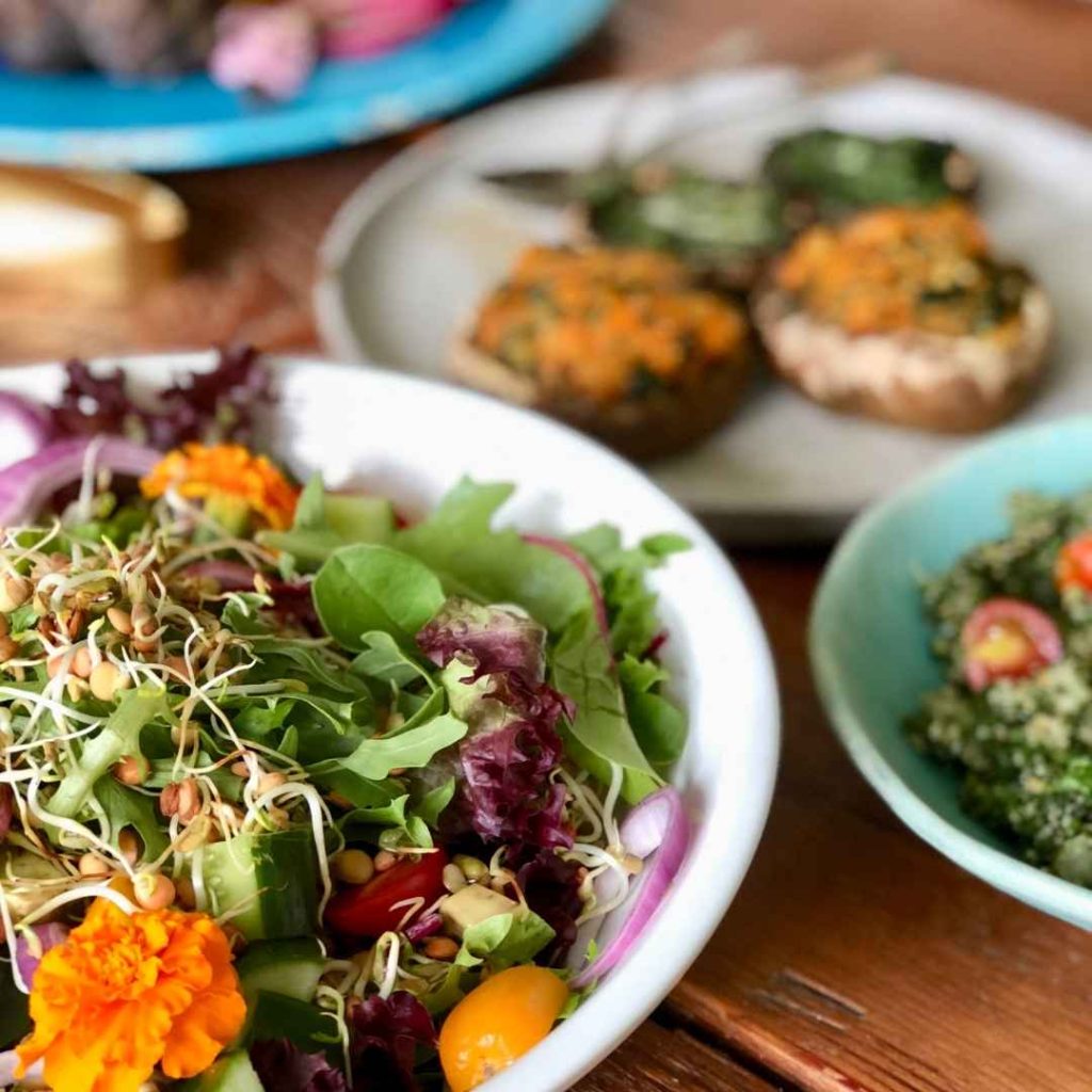 plant-based-lunch-ideas-nutrition
